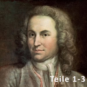 Kategorie 3