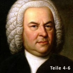 Kategorie 3